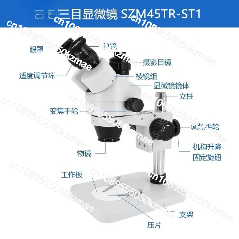 กล้องจุลทรรศน์สเตอริโอซูมต่อเน - Trinocular Stereo Microscope 7X-45X บทวิจารณ์และราคา